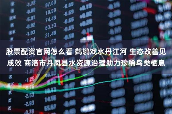 股票配资官网怎么看 鹈鹕戏水丹江河 生态改善见成效 商洛市丹凤县水资源治理助力珍稀鸟类栖息