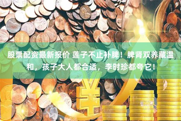 股票配资最新报价 莲子不止补脾！脾肾双养藏温和，孩子大人都合适，李时珍都夸它！