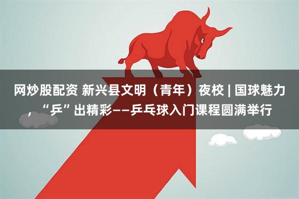 网炒股配资 新兴县文明（青年）夜校 | 国球魅力，“乒”出精彩——乒乓球入门课程圆满举行